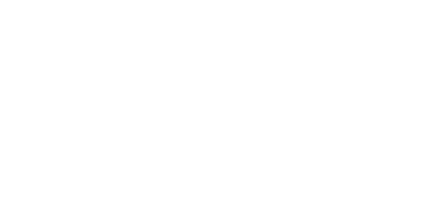 Primary Logo White PLC white logo