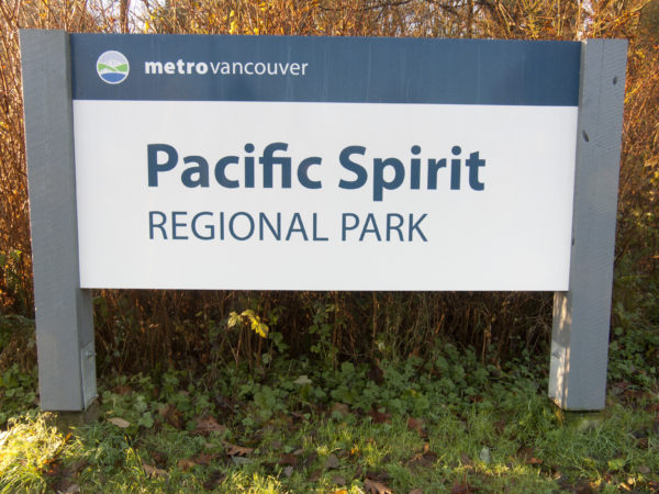 Pacific Spirit Regional Park