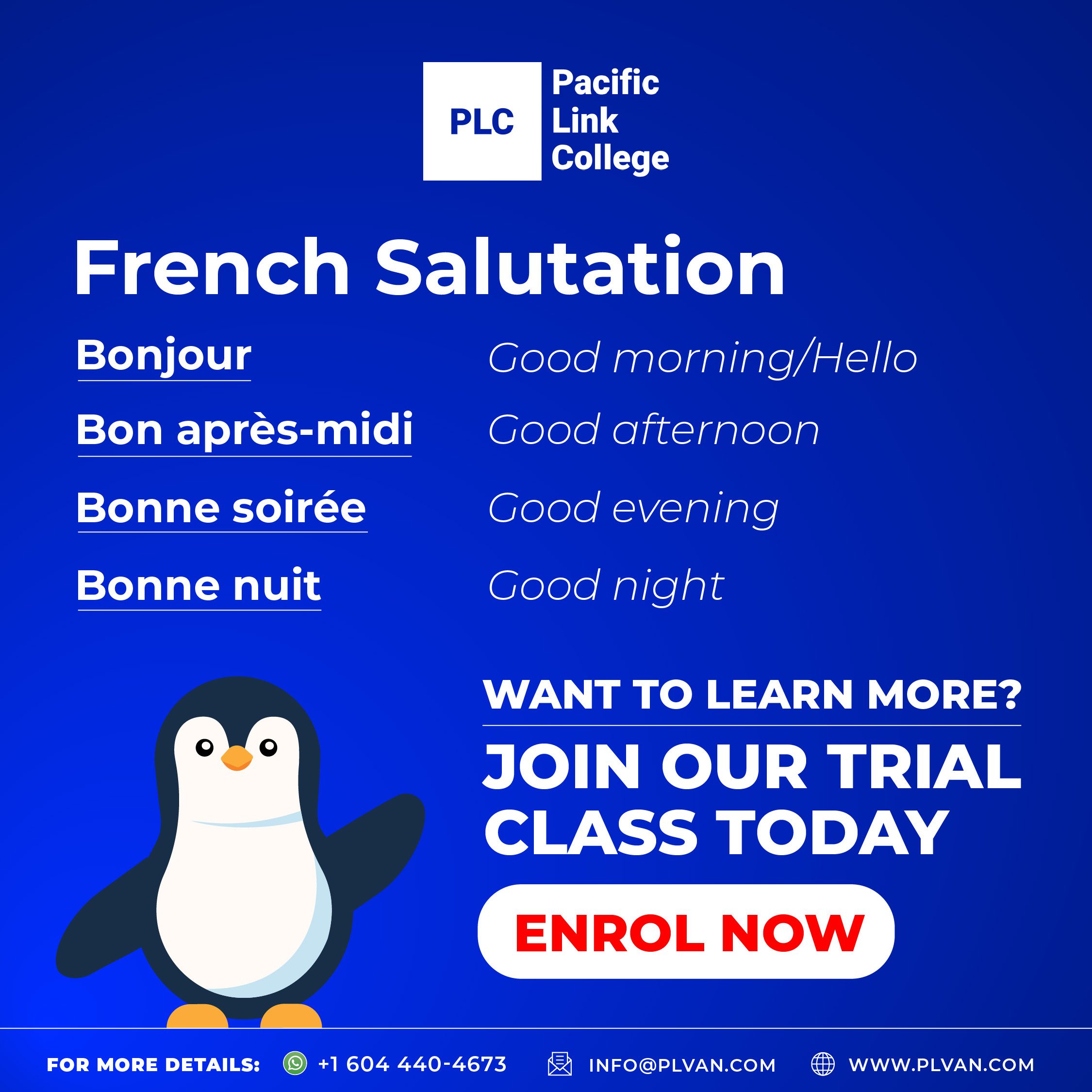 free french course